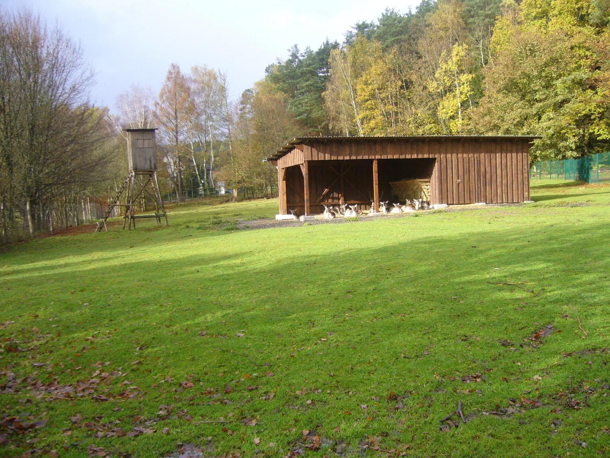 Hotel Am Wildpark Sankt Ingbert Exterior photo