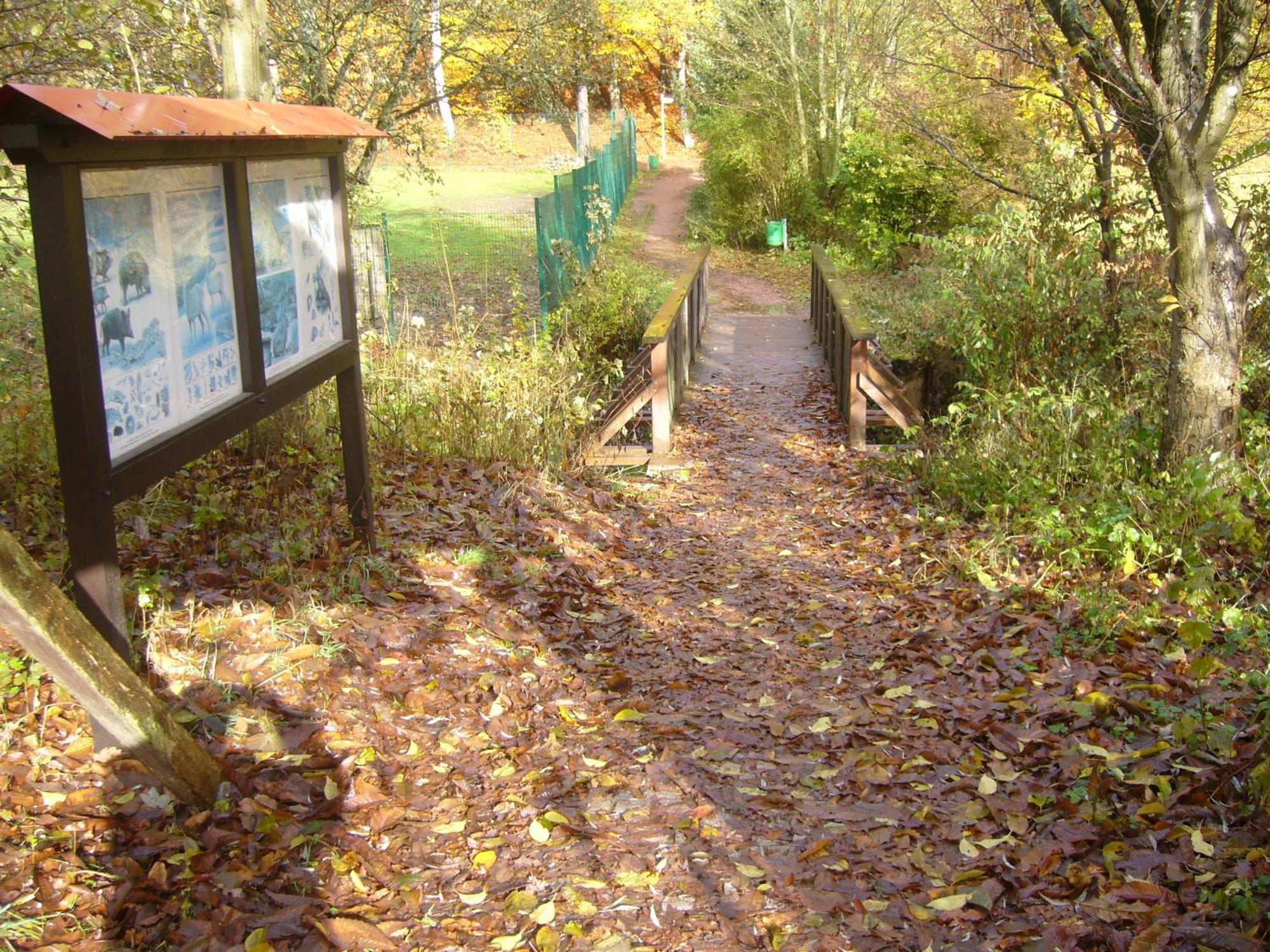 Hotel Am Wildpark Sankt Ingbert Exterior photo